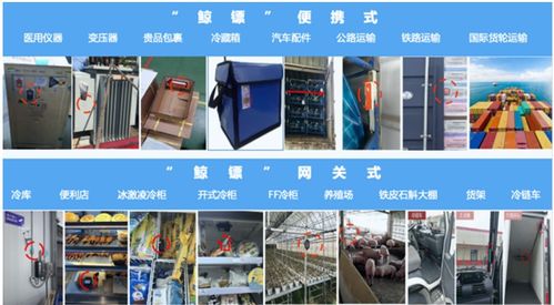 座头鲸 基于LoRaR网关式智能产品赋能冷链物流行业物联新基建信息咨询服务